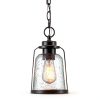 Roth Outdoor Pendant Light Rustic Vintage Hardwired Bronze-1