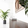 Philips Hue Ambiance Gradient LED Light Strip Extension-2