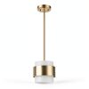 Brass Pendant Light Modern Design Frosted Glass Shade-2